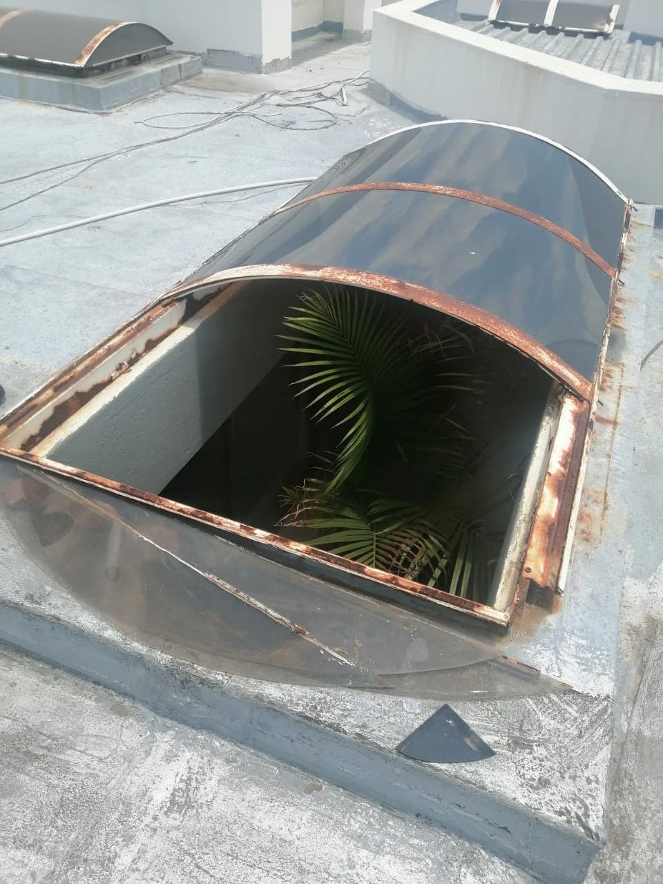 Replacement Aluminium Flat-Roof Skylights project photo 5
